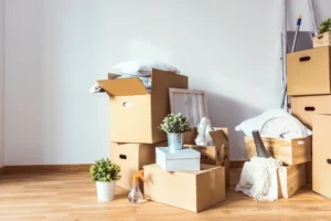 Best packing boxes for moving house