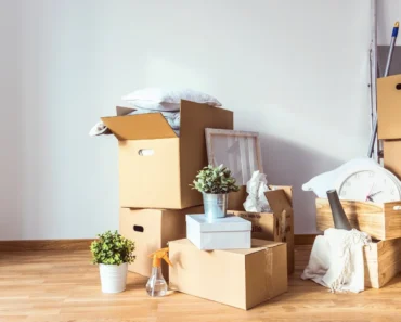 Best packing boxes for moving house