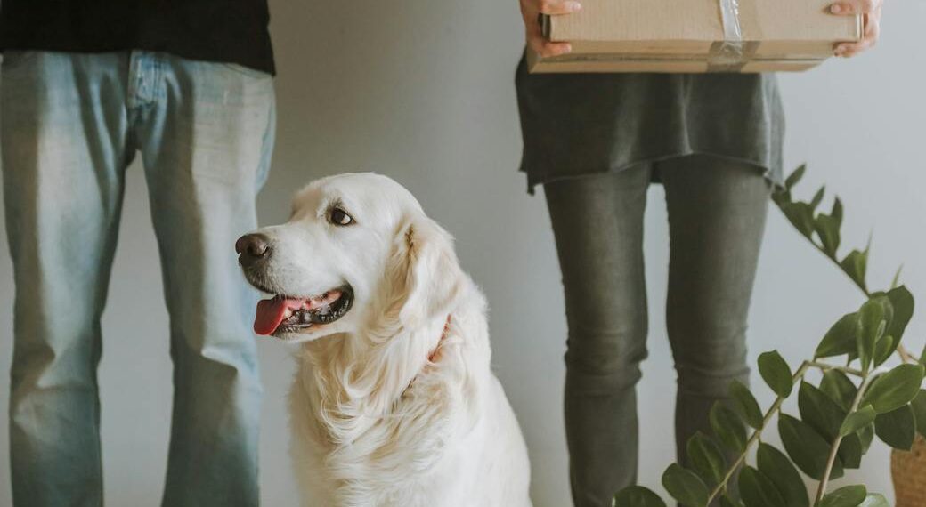 moving with pets