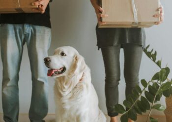 moving with pets