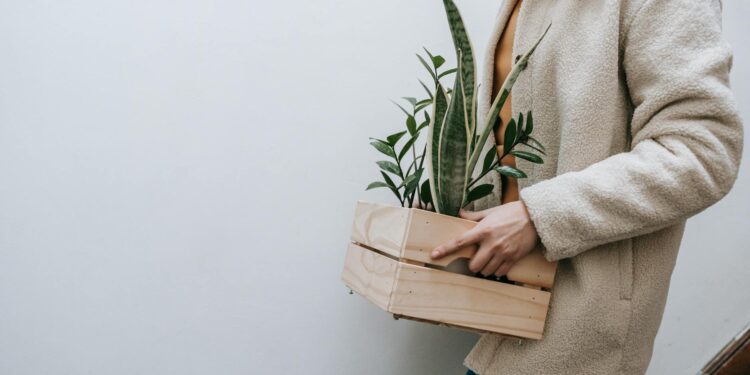 moving with plants